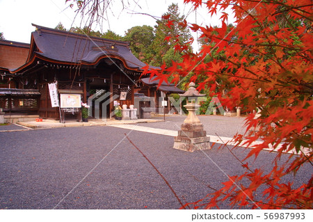 Mio Shrine (Otsu City, Shiga Prefecture) Mio Shrine (Otsu City, Shiga Prefecture) 56987993