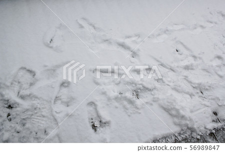 Footprints on the snow Footprints on the snow 56989847