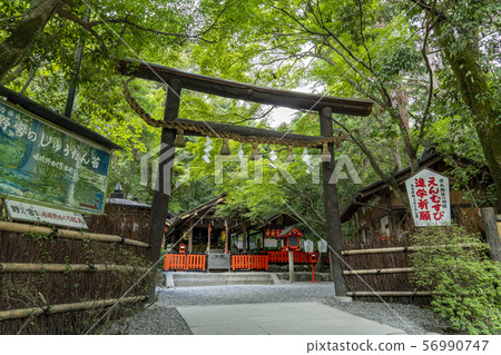 [京都府]野宮神社 56990747