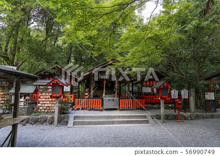 [京都府]野宮神社 56990749