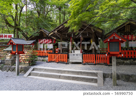 [Kyoto Prefecture] Nomiya Shrine 56990750