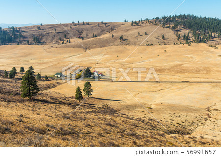 Landscape of the plain in Hidden Valley with yellowish soil and some trees and ranches in Cle Elum 56991657