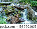 Mountain river with tree logs and stones.. 56992005