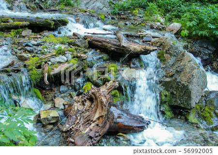 Mountain river with tree logs and stones.. 56992005
