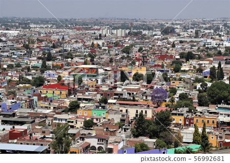 Mexico, Pue Brush Tea 56992681