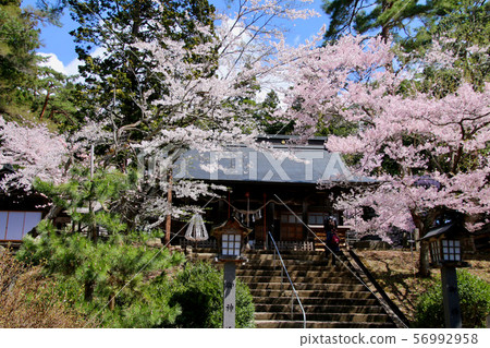 春天Totsu神社（福島縣，豬苗代町） 56992958