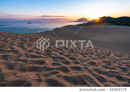 << Tottori Prefecture >> Dawn of Tottori Sand Dunes << Tottori Prefecture >> Dawn of Tottori Sand Dunes 56993575