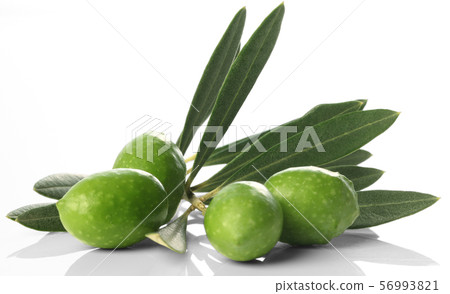 橄欖枝和水果 橄欖枝和水果 56993821
