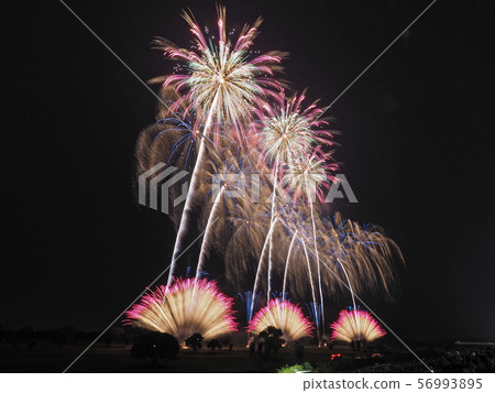 古河煙花節2019年 古河煙花節2019年 56993895