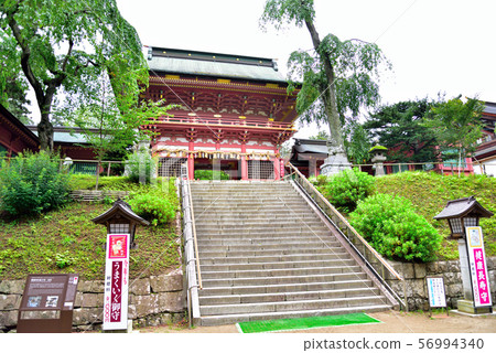 Shogun's Divergent Gate Shogun's Divergent Gate 56994340