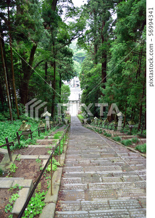 Shiogama神社大阪 56994341