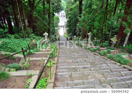 Shiogama Shrine Osaka Shiogama Shrine Osaka 56994342
