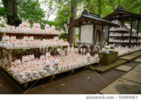 The lucky cat of Futatsukuji 56994863