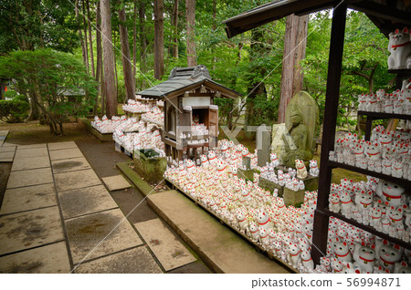 The lucky cat of Futatsukuji 56994871