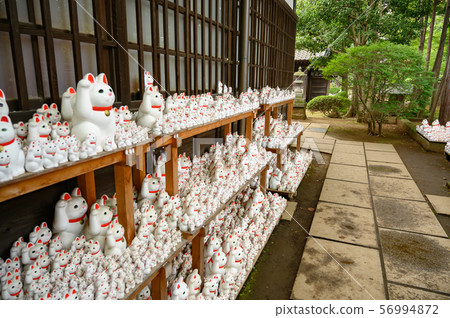 The lucky cat of Futatsukuji 56994872