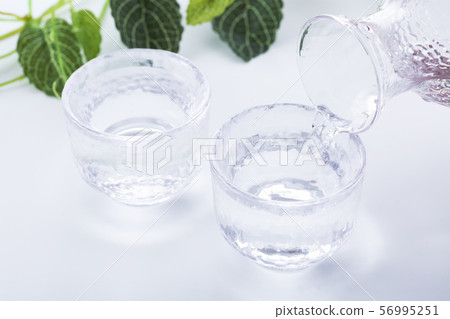 清酒清酒清酒 清酒清酒清酒 56995251