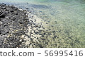 Beach / Hawaii 56995416
