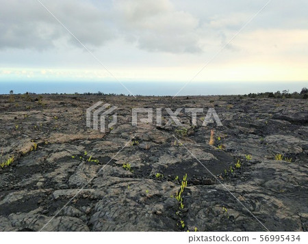 Lava ground Lava ground 56995434
