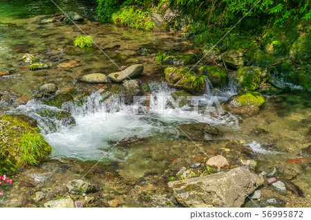 Kifunegawa在夏天京都 Kifunegawa在夏天京都 56995872