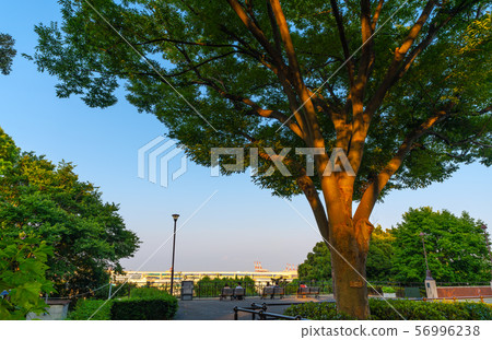日本的橫濱市容在山公園zelkova和橫濱港的意見 日本的橫濱市容在山公園zelkova和橫濱港的意見 56996238