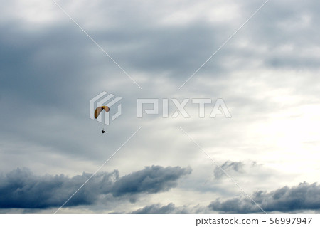 鳥取季節性步行秋季駕駛員 56997947