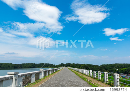 (Saitama-landscape) Promenade scenery of Sayama Nature Park 4 (Saitama-landscape) Promenade scenery of Sayama Nature Park 4 56998754