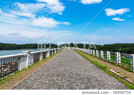 (埼玉縣 - 風景)狹山自然公園散步場景3 (埼玉縣 - 風景)狹山自然公園散步場景3 56998756