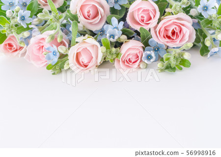 淡粉紅色玫瑰和淺蘭的藍星植物的背景 56998916