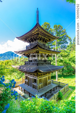 National Treasure Daiho-ji Mie Tower Aoki Village [Nagano Prefecture] 56999292