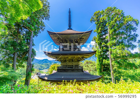 National Treasure Daiho-ji Mie Tower Aoki Village [Nagano Prefecture] 56999295