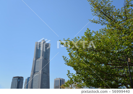 Yokohama Landmark Tower and trees and blue sky Yokohama Landmark Tower and trees and blue sky 56999440