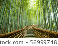 Bamboo grove in Kyoto 56999748