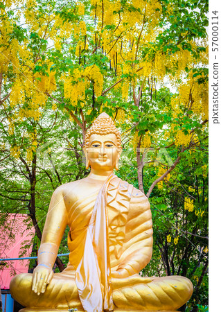 Buddha with yellow flowers Buddha with yellow flowers 57000114