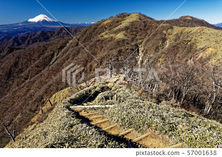Mt. Fuji viewed from Mt. Tanzawa 57001638