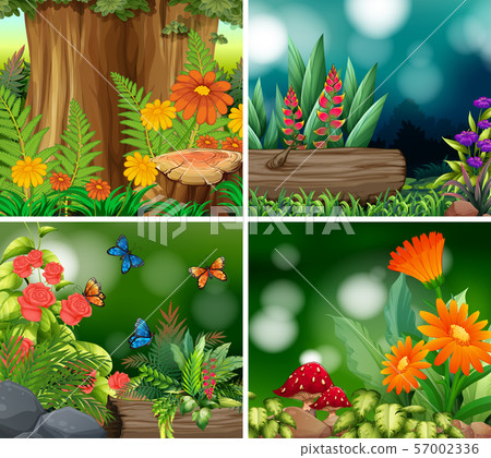 Set of background scene with nature theme Set of background scene with nature theme 57002336