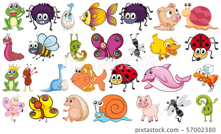 Set of different animals Set of different animals 57002380