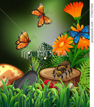 Nature scene with butterflies and spider in garden - Stock Illustration ...