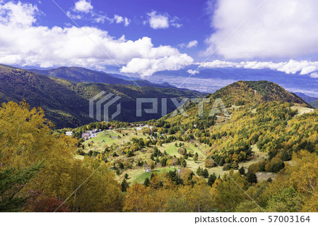 （長野縣）山田農場周圍的秋葉 57003164