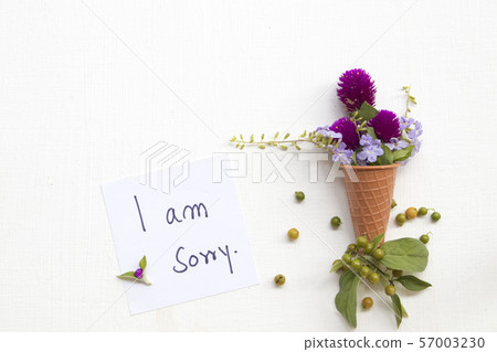 i am sorry message card handwriting with flowers i am sorry message card handwriting with flowers 57003230