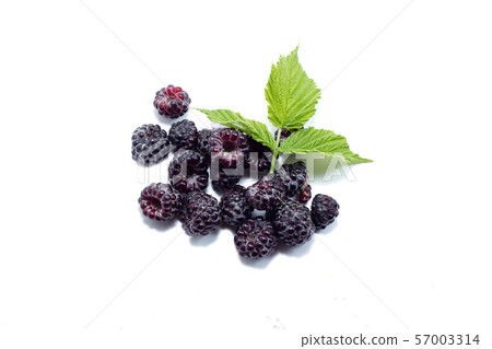 ripe blackberries on a white 57003314