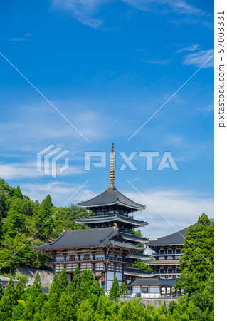 Tajima Buddha Tajima Buddha 57003331