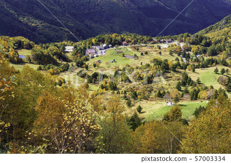 （長野縣）山田農場周圍的秋葉 57003334