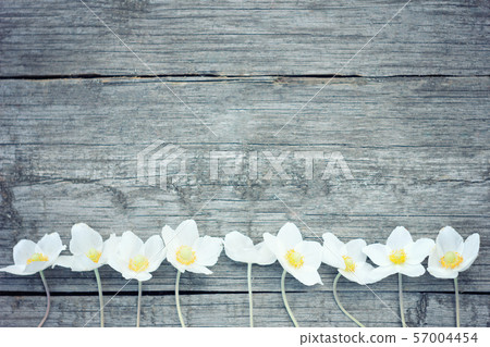 white flowers on old wooden white flowers on old wooden 57004454