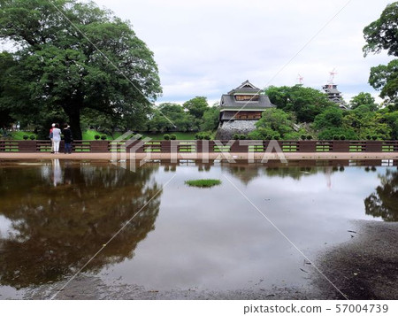 雨季熊本城的熊本縣和志願者嚮導(熊本市) 雨季熊本城的熊本縣和志願者嚮導(熊本市) 57004739