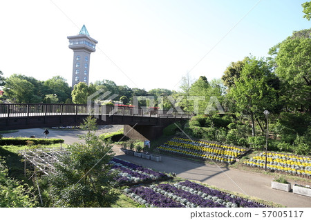 The flower bed of the park The flower bed of the park 57005117