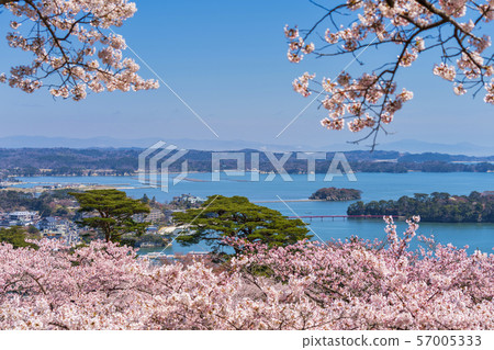 Miyagi Matsushima Scenery from Matsu Park 57005333