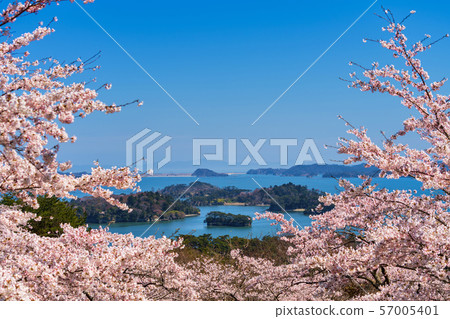 Matsu Park的Miyagi Matsushima風景 Matsu Park的Miyagi Matsushima風景 57005401