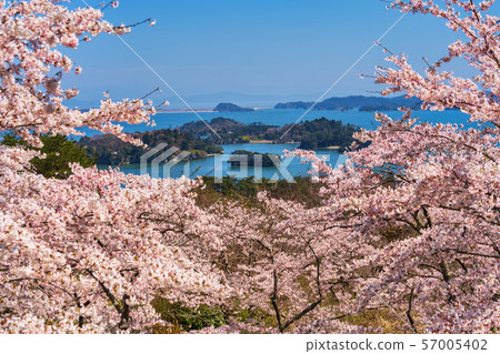 Matsu Park的Miyagi Matsushima風景 Matsu Park的Miyagi Matsushima風景 57005402