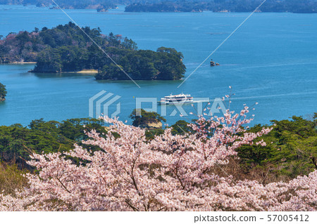 Miyagi Matsushima Scenery from Matsu Park Miyagi Matsushima Scenery from Matsu Park 57005412