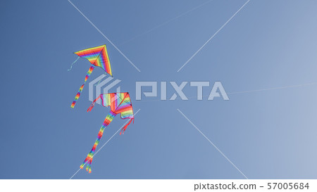 Two kites soar in the blue cloudless sky 57005684